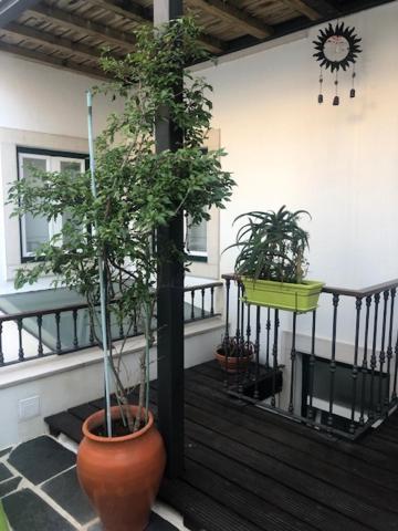 Courtyard House - Sun, Barbecue, Beach 세심브라 외부 사진